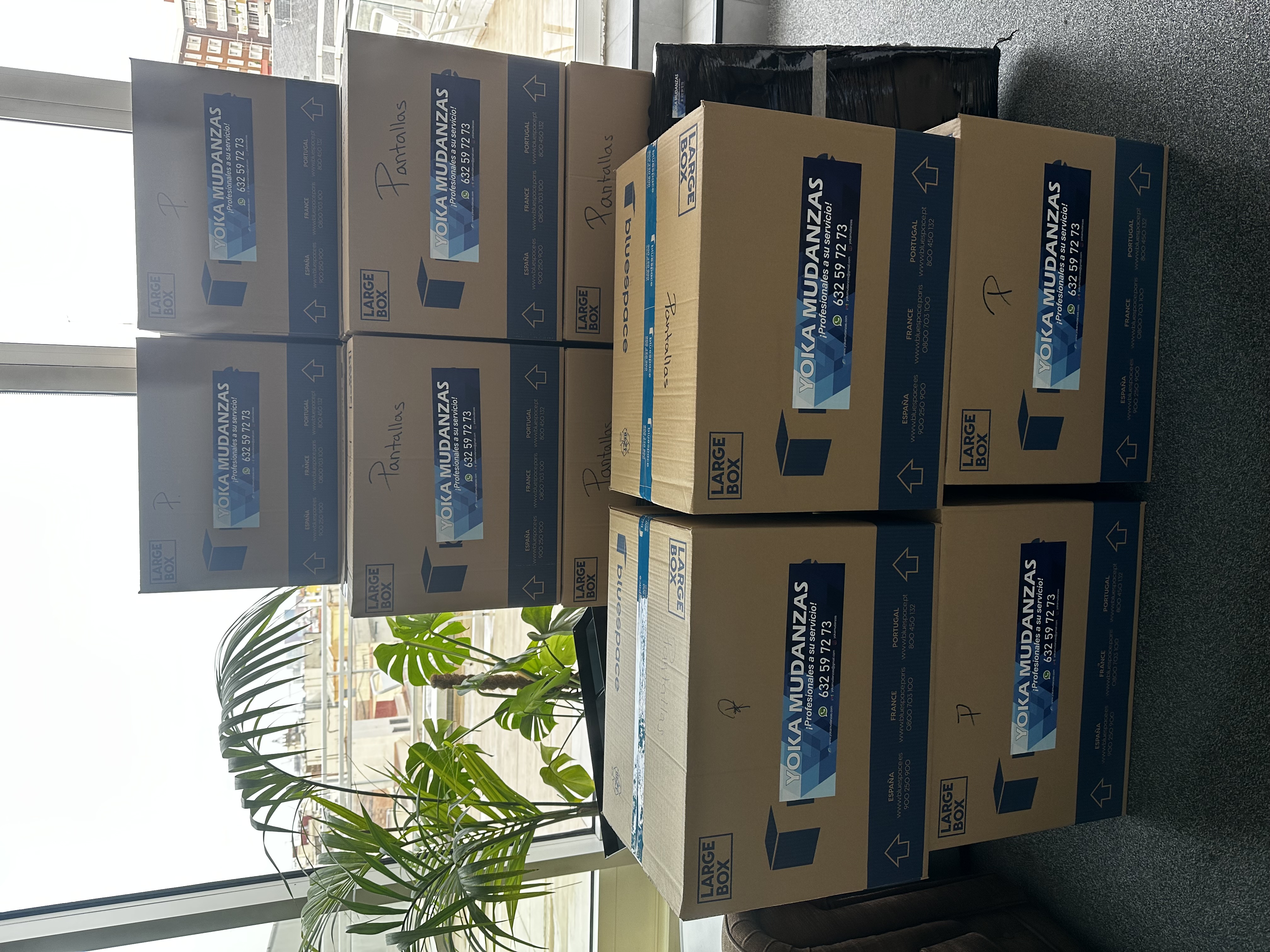 Cajas identificadas y preparadas para una mudanza